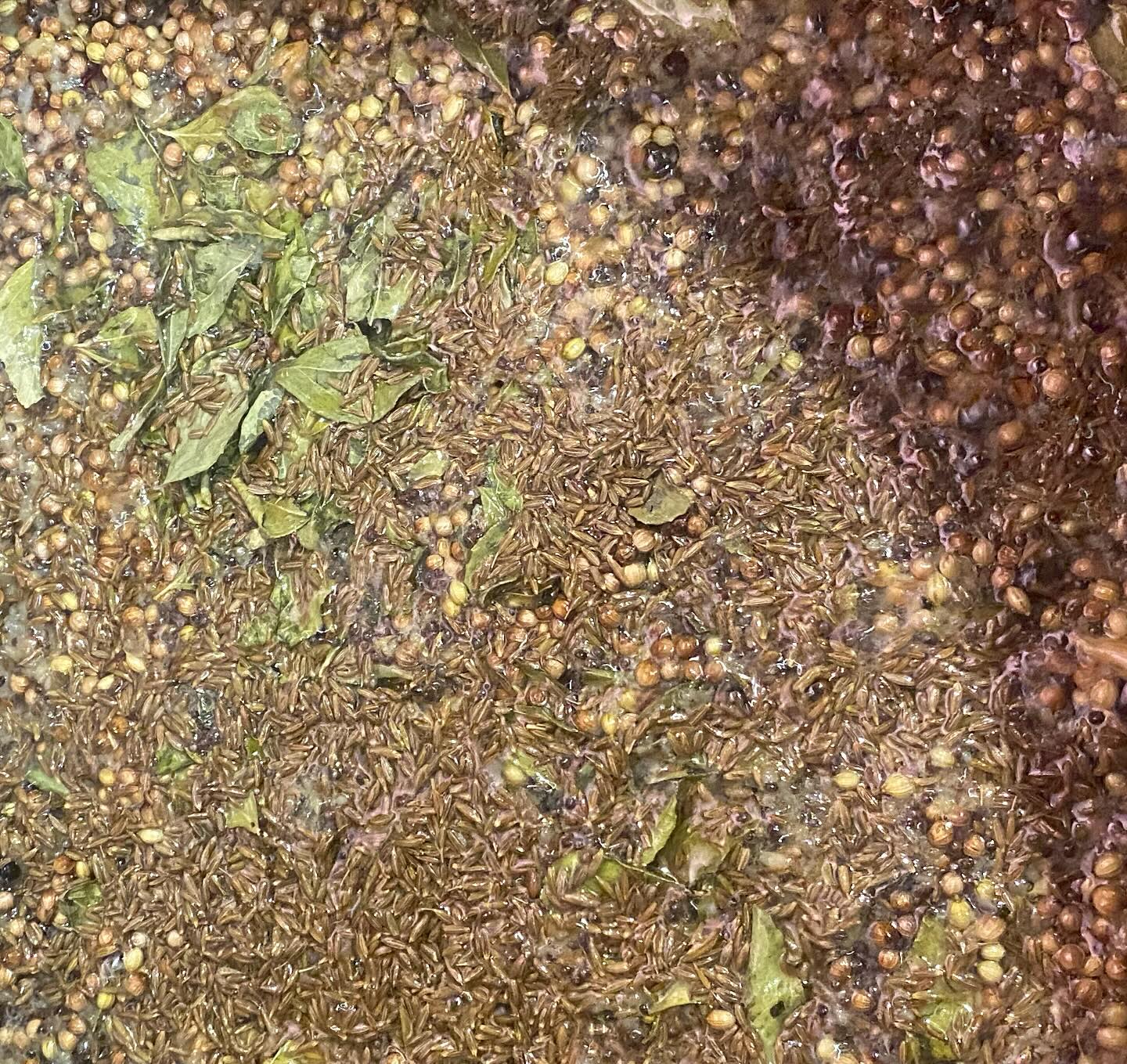 スパイスってのは一つ一つ特徴があるもので。

カレー作りで難しいのはその調和を取ることだと思っていて。

例えばターメリックを入れ過ぎると苦くなったり、

クローブを入れ過ぎるとお薬っぽくなってしまう。

クミンだけを入れればいいかと言われるとそれも違う。

要は全てのバランスと調和が必要になる訳で。

その為に1番大事なもの、それが「塩」。

塩が少ないと物足りない、逆に多過ぎると水分を足しても取り返しがつかなくなる。

スパイスの香り風味を最大限に引き出すちょうどいい量をピンポイントを探る必要がある。

ーーーーーーーーーーーーーーーーーーーーーーー

人間ってのも一人一人特徴があって、

自分の特徴を出したいが為に全ての調和を取ることが難しくなって、

遠慮しすぎても存在感がなくなるもので。

人の数だけ特徴と人生がある中で、

全員と仲良くできる訳がなくて、

表面的にはムカついたり嫌な気持ちになることもあるけれど、

どんな人でもどこか心の奥底では仲間というかファミリーだと思っていて、

皆んなと仲良く出来ないかもしれないけれど、

僕は皆んなが好きなんです。