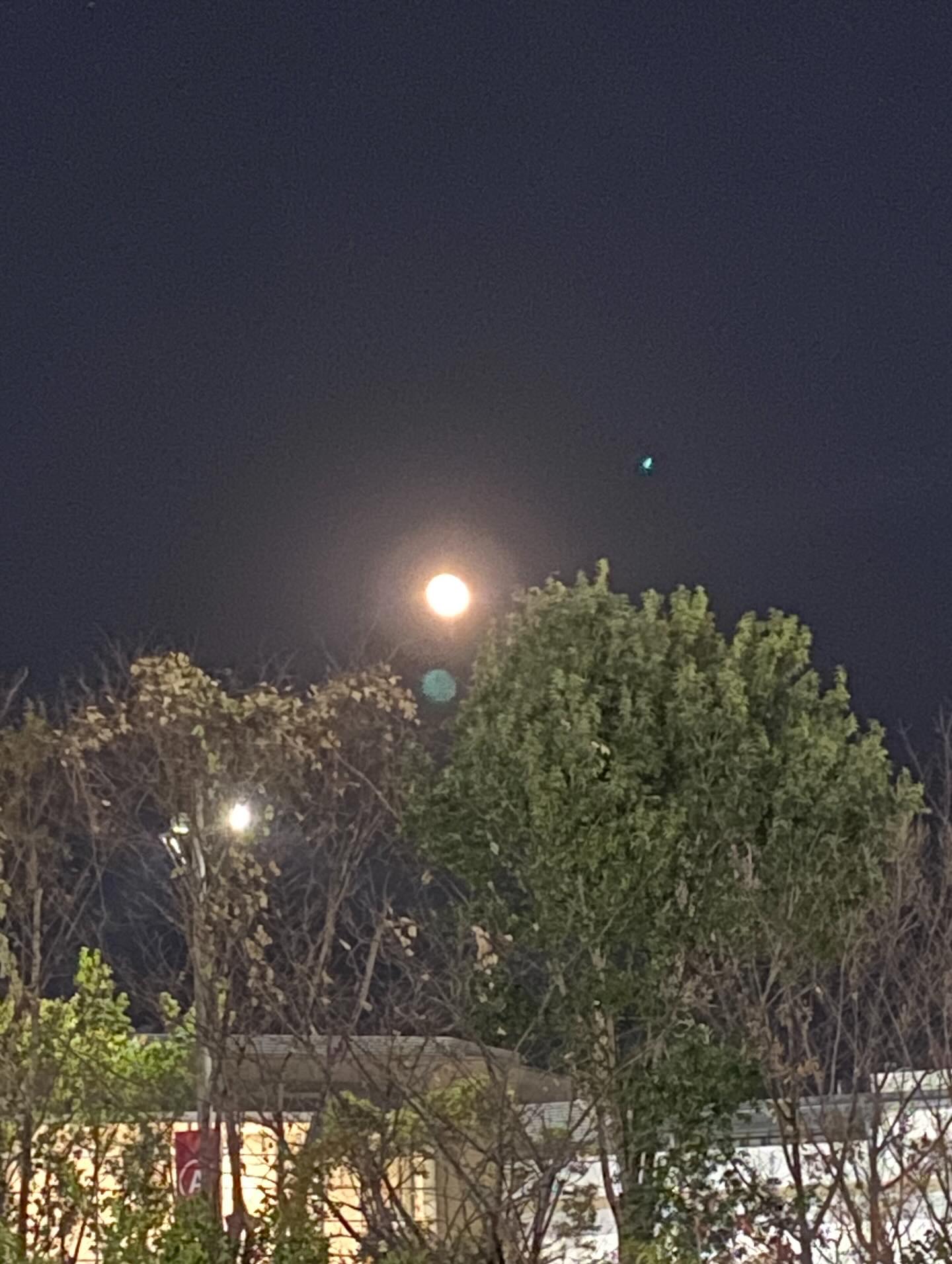 「明日生きる為に、死んでました」

昨日は太田イオンで「ひゃくえむ」という映画観てきました。

めっちゃ震えた。

チ。も大好きだけど、ひゃくえむもヤバいね。

ーーーーーーーーーーーーーーーー

浅く考えろ
世の中舐めろ。
保身に走るな。
勝っても攻めろ。